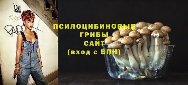 прущая мука Абаза