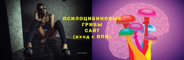 прущая мука Абаза