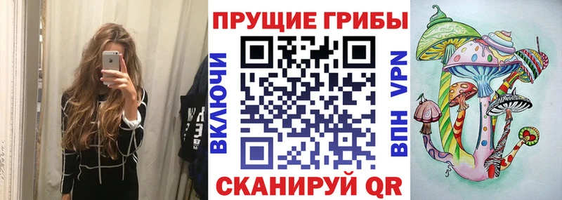 Галлюциногенные грибы Psilocybe купить закладку Поворино